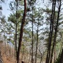 남구-006 이미지