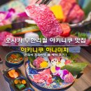 하나미치 - 송파구 법원로9길 26 | 오사카 무한리필 야키니쿠 맛집 추천 전좌석 프라이빗 룸 난바 야키니쿠 하나미치 예약 후기