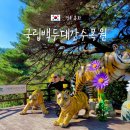 국립백두대간수목원 고산습원 존치가옥 | 경북 봉화 가볼만한곳 국립백두대간수목원 호랑이 트램