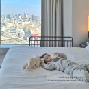 르노삼성자동차 서비스코너 이동점 | 센타라 그랜드 호텔 오사카 아기랑 숙소 디럭스 코너 프리미엄층 후기 (오사카 난바)