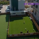 김포 애견호텔 애견유치원 꼬똥이네 | [김포 호텔/가격/후기] 김포 애견호텔 애견유치원 꼬똥이네 김포 애견호텔 꼬똥이네, 사랑으로 가득한 공간