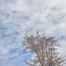 봉제산근린공원 이미지