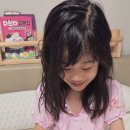 다판다진짜