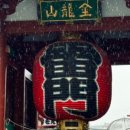 (주)메트로여행 이미지