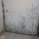 디자인대경