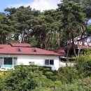 비내섬의 아침 이미지