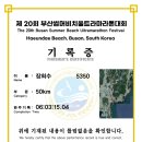 20회 섬머비치울트라 마라톤 50km 참가 후기 이미지