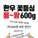 진수마트 이미지