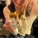 다마시떼 이미지
