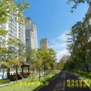 산호동417 이미지