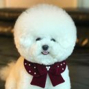 (유)진해택시 이미지