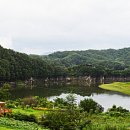 옥천 - 영도구 | 옥천