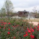 곡성-146 이미지