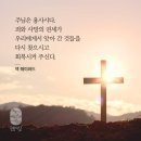 작전 유도 이미지