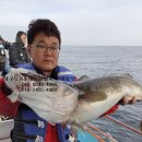 오산항낚시터 이미지