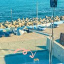 메이크시(MAKESEA) 이미지