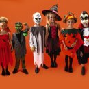 안정쇼핑로 이미지