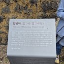 성읍리 느티나무 및 팽나무군 | 성읍민속마을과 정의현성 탐방