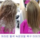 샬롬미용실 - 마포구 서교동 | 샬롬미용실