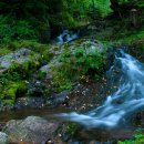 곰배령산장 이미지