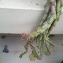 우각농장 이미지