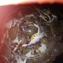 어은돌 바다여행 이미지