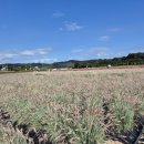 풍경공원 화장실 이미지