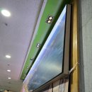 성광전자 티스토리