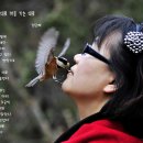 꽁지