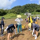 남세종종합청소년센터 이미지