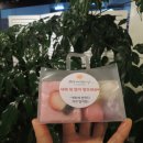 커피에반하다 대구입석점