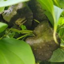 동우행정사합동사무소 이미지