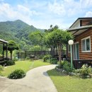 오대산늘벗 이미지