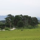 이백면 계산마을 네이버블로그