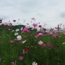 판문경로당 이미지