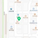 타이아로이디