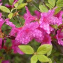 서해삼육고등학교 이미지