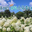 김포,청주공항 출발06월9일/10일/16일/17일 제주도 철쭉,수국축제 2박3일 이미지