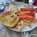 밝은안경장유점 | [일상]11月 일상(마산 국화축제, 마산어시장 킹크랩, 부일페 등등)