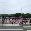 서강안경 | 2026 월리런 10K 후기 월리를 찾아라 런 in 서울