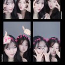 서우주류 이미지