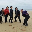 서해바다 이미지