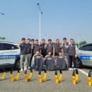 고양이당 이미지