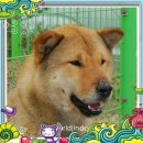 김영진농장 이미지