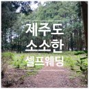 성읍리-25 | W-6. 우리끼리 제주도 셀프 웨딩 촬영 준비물 및 장소 추천 후기(갯무꽃밭, 백약이 오름, 비밀의 숲)