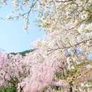 경희올한의원 이미지