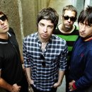 오아시스 이미지