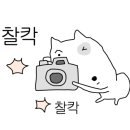 골목감성포차 네이버블로그