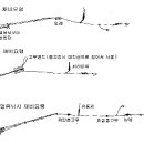 송어 얼음낚시(3편) 이미지