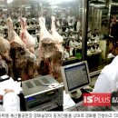 달인명품한우 이미지